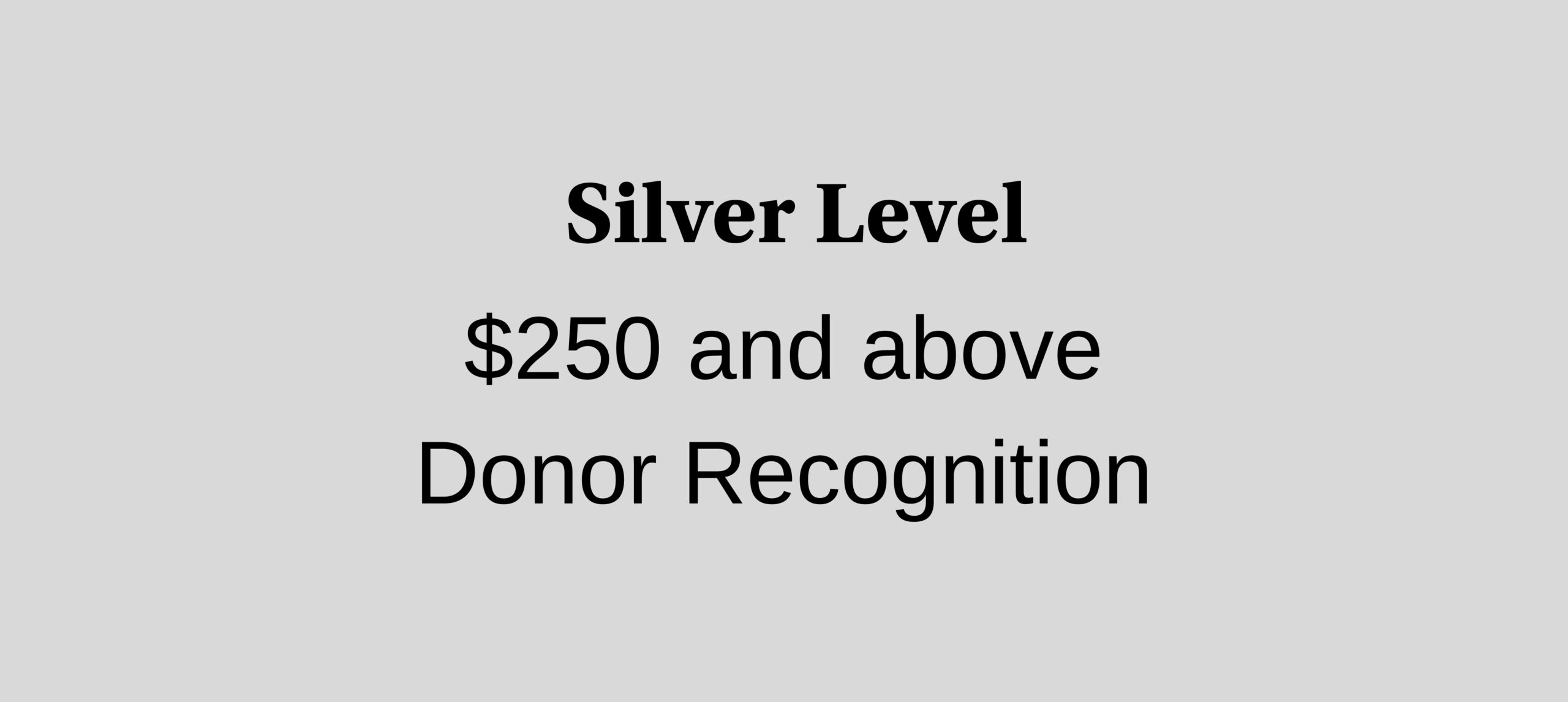SilverLevel